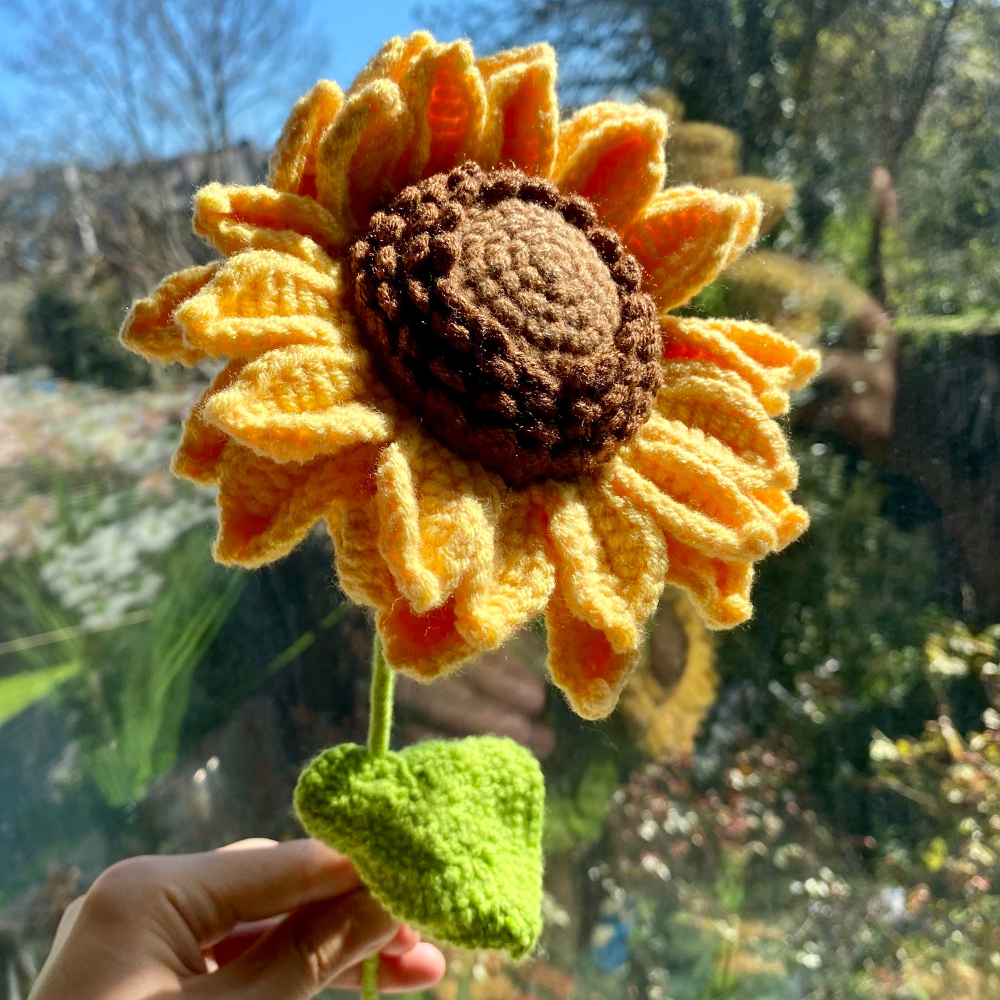 Sunflower Plus (Dark Brown)